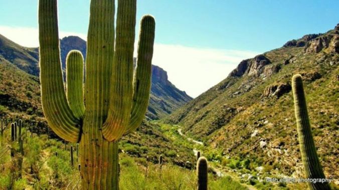 YqXW-sabino-canyon-catalina-foothills-arizona